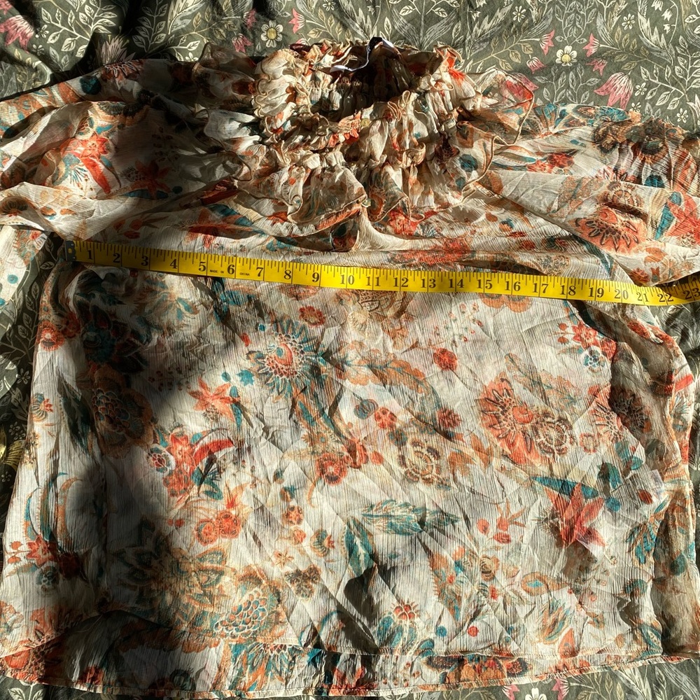 Zara Sheer Floral Ruffle Blouse - Picture 6 of 16